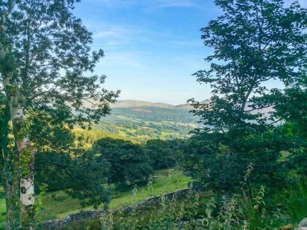 Tyn Llwyn Villa Dolgellau Bagian luar foto